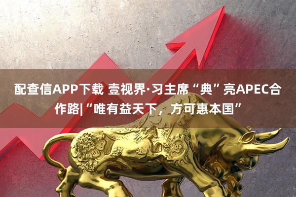 配查信APP下载 壹视界·习主席“典”亮APEC合作路|“唯有益天下，方可惠本国”