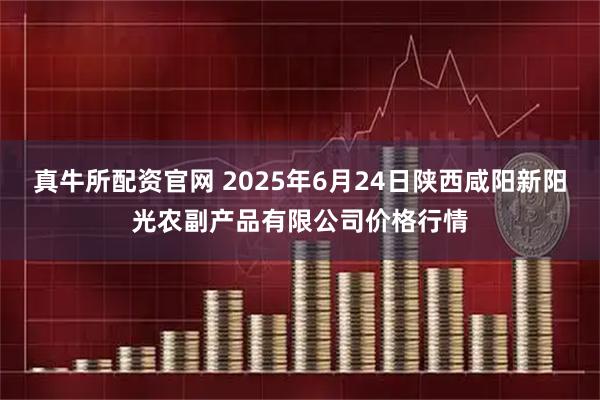 真牛所配资官网 2025年6月24日陕西咸阳新阳光农副产品有限公司价格行情